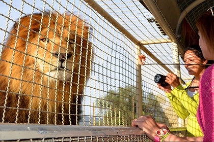 reino animal zoologico teotihuacan